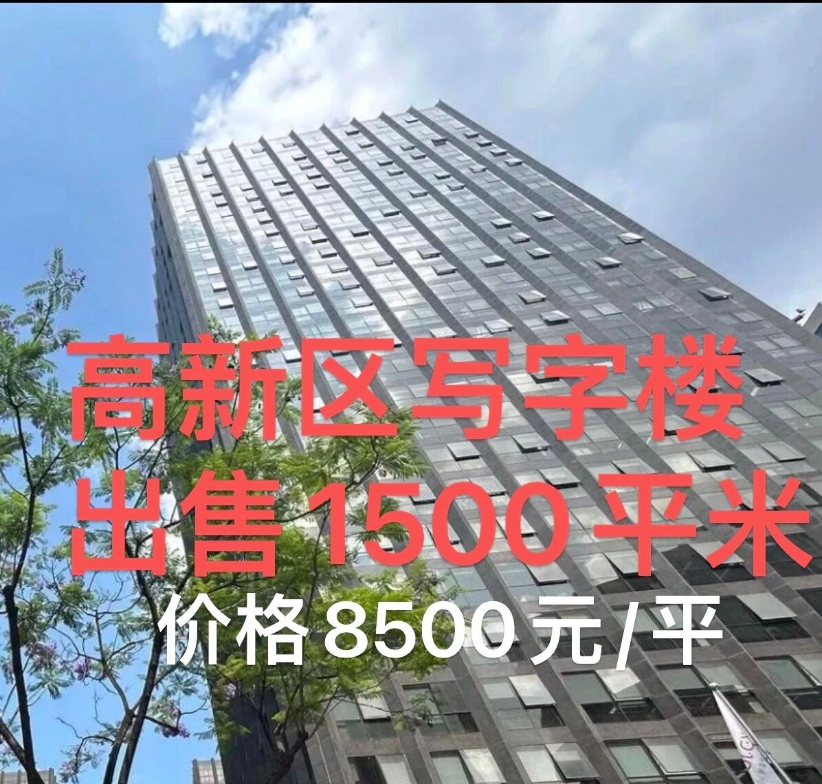 微信图片_20260418145243.jpg